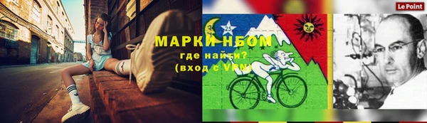 амф Бронницы