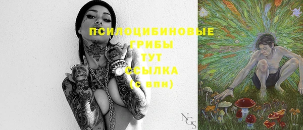 амф Бронницы