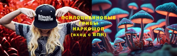 стаф Бугульма
